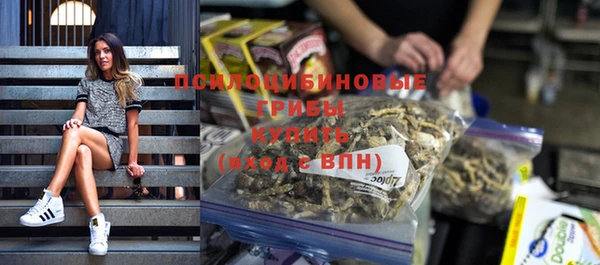 spice Богородицк